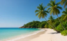 Desbravando a Prainha: Um Paraíso Natural