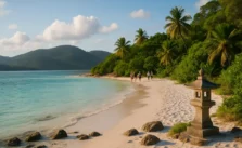 Descubra a Ilha do Japonês