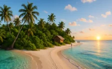 Descubra a Ilha do Japonês
