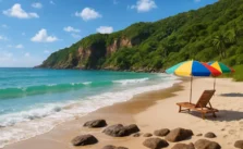 Descubra a Praia Brava