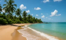 Descubra a Praia do Siqueira