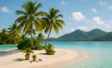 Ilha do Japonês: O Paraíso das Águas Calmas