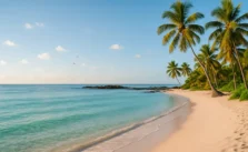 Praia do Forte: Um Refúgio de Beleza Natural
